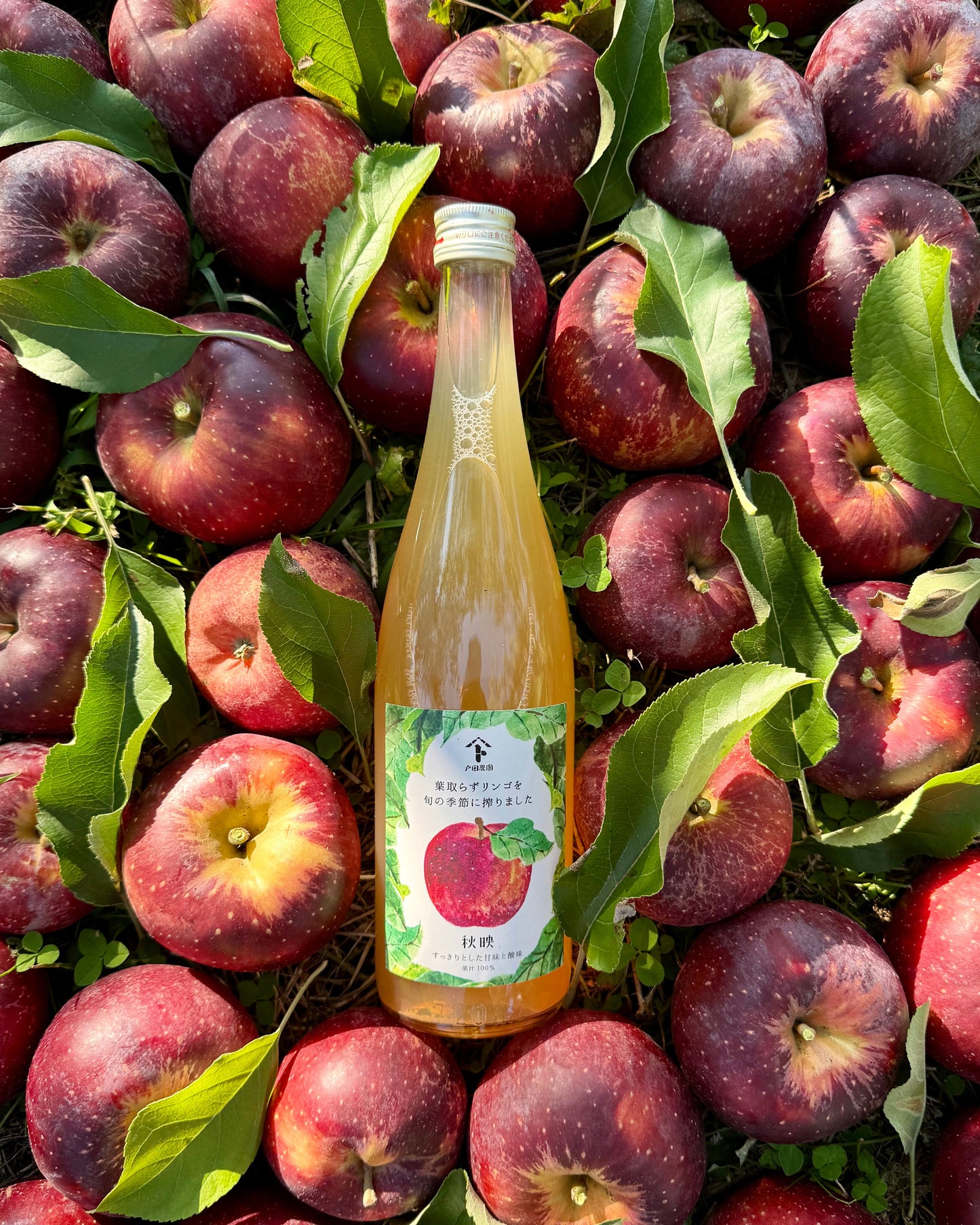 【期間限定・予約販売】旬搾り「秋映&ふじ」ストレートジュース飲み比べセット