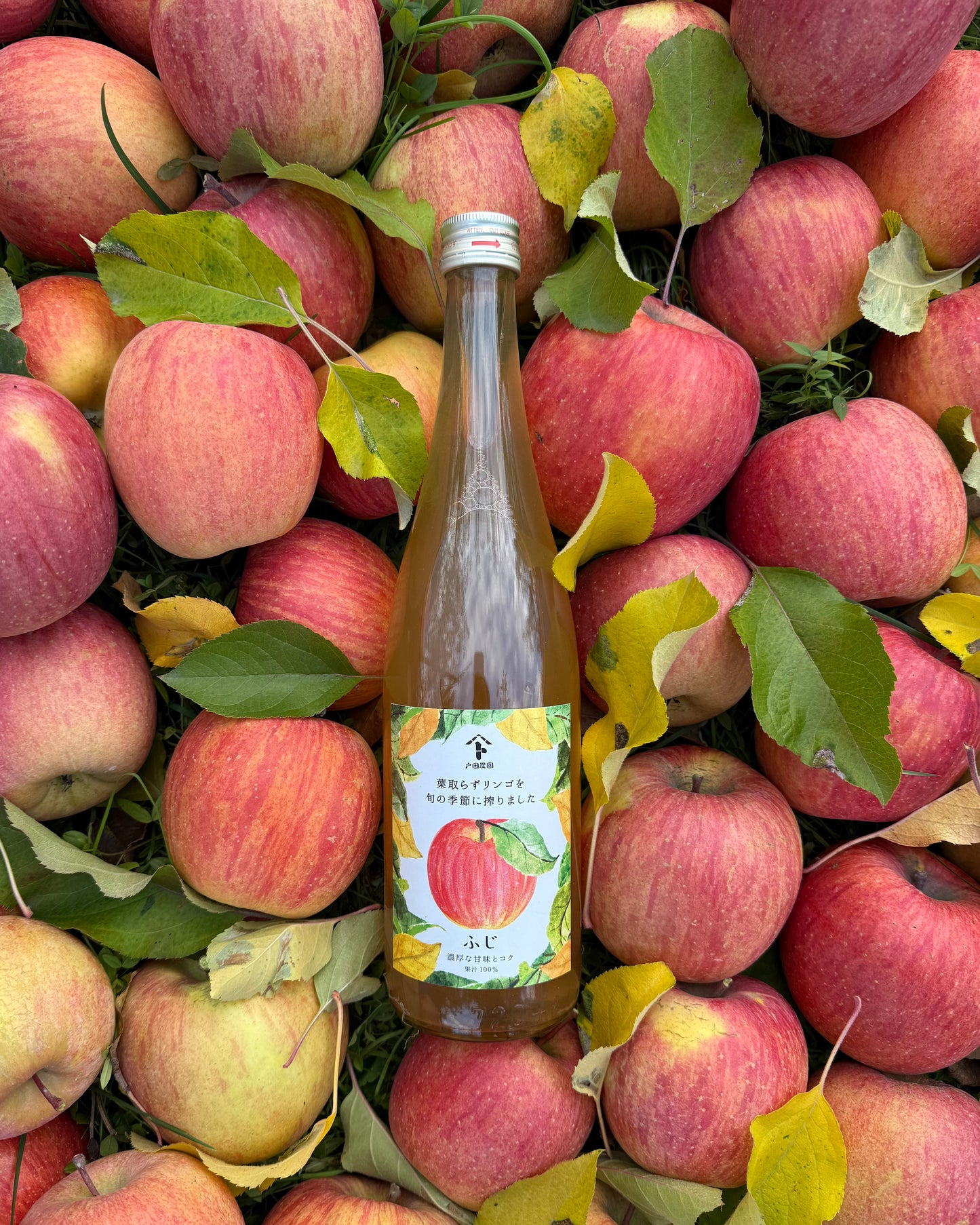 【期間限定・予約販売】旬搾り「秋映&ふじ」ストレートジュース飲み比べセット